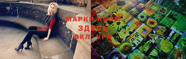 круглые Аркадак