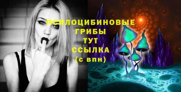 сатива Алексеевка