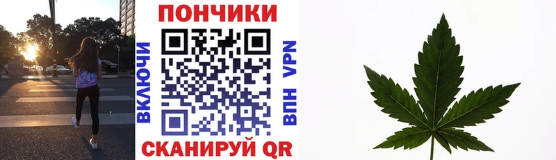 Бошки марихуана индика  наркошоп  Харовск 